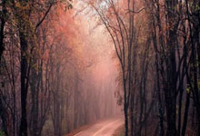 中国股票配资网平台官网:配资股公司官网-中信建投：消费级3D打印市场已经进入到奇点时刻 市场有望迎来快速爆发